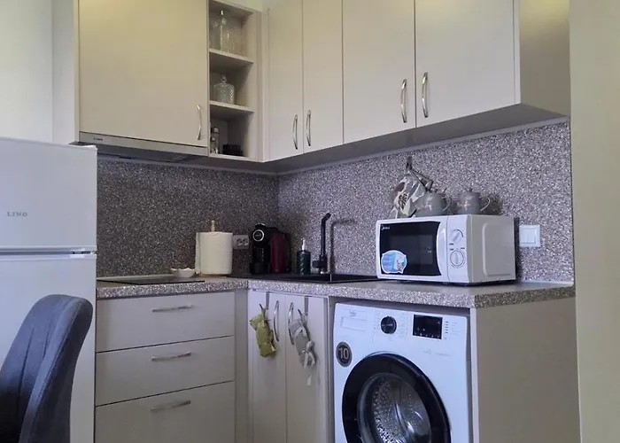 Modern In Shartrez, Shkorpilovsti